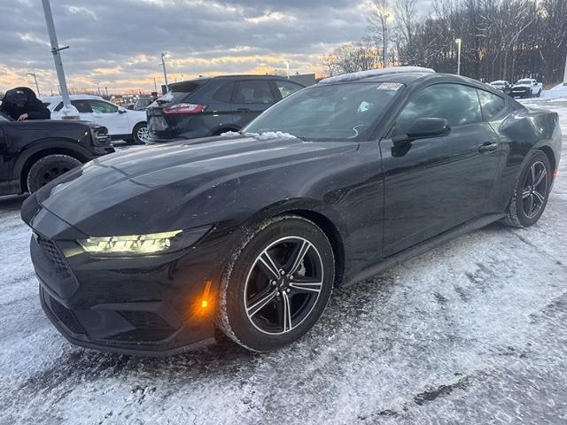 2025 Ford Mustang EcoBoost Fastback