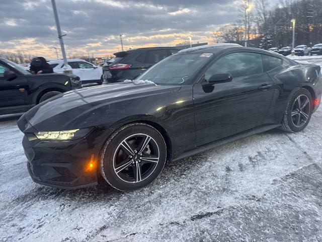2025 Ford Mustang EcoBoost Fastback