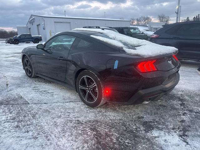 2025 Ford Mustang EcoBoost Fastback