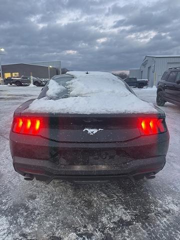 2025 Ford Mustang EcoBoost Fastback
