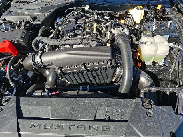 2025 Ford Mustang EcoBoost Fastback