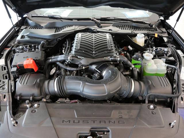 2024 Ford Mustang GT Premium Fastback
