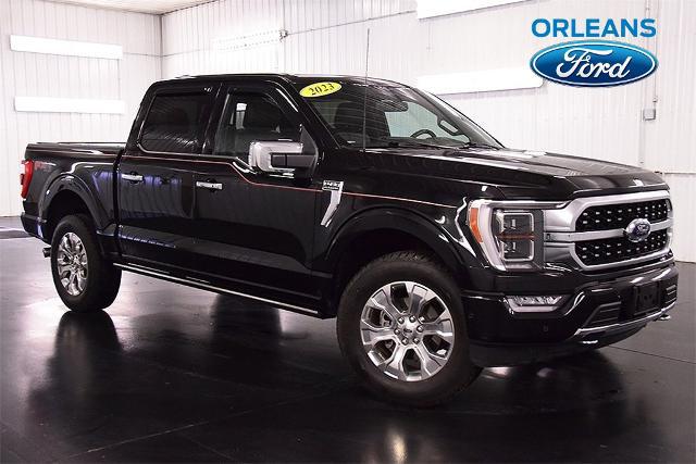 2023 Ford F-150 Platinum for sale in Medina, NY