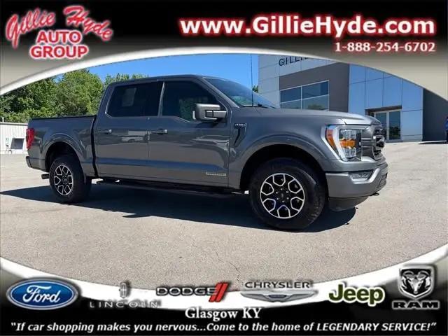 2023 Ford F-150 XLT for sale in Glasgow, KY