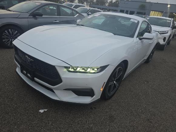 2024 Ford Mustang EcoBoost Premium Fastback 2024 Ford Mustang EcoBoost Premium Fastback