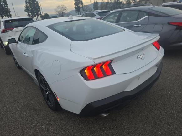 2024 Ford Mustang EcoBoost Premium Fastback 2024 Ford Mustang EcoBoost Premium Fastback