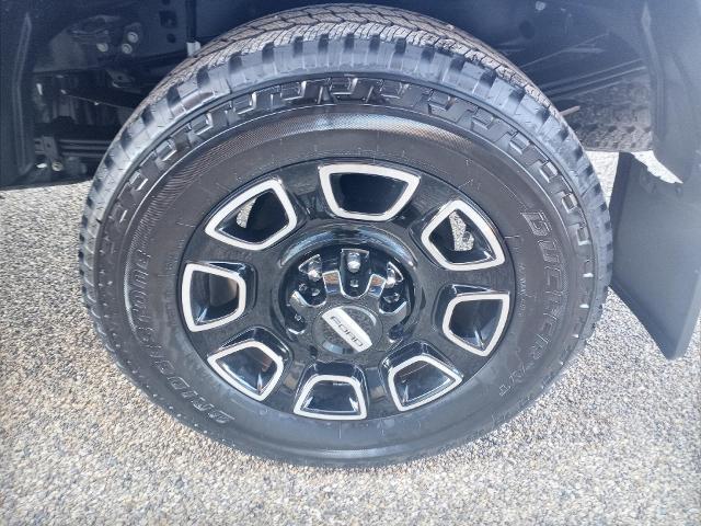 2024 Ford F-250 Platinum