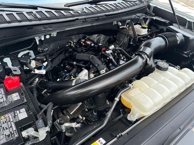 2025 Ford Expedition Active MAX