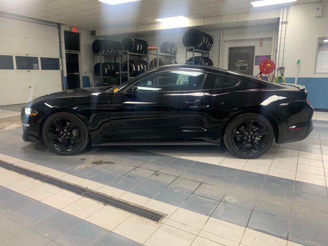 2022 Ford Mustang GT Fastback