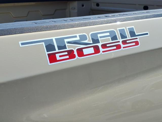 2023 Chevrolet Silverado 1500 4WD Crew Cab Short Bed Custom Trail Boss