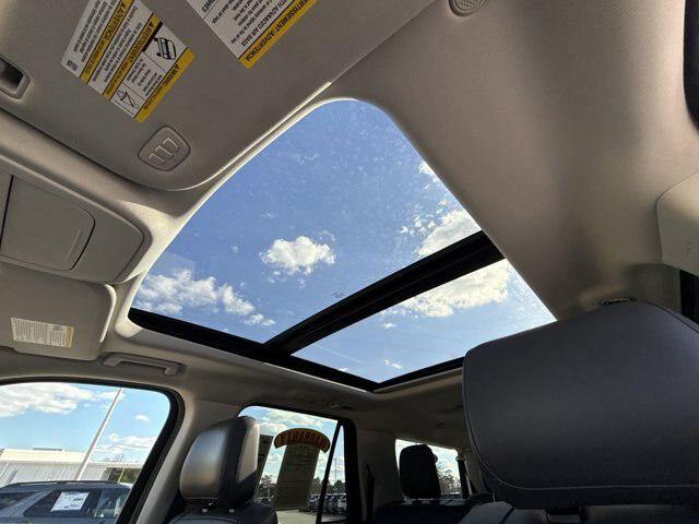 2025 Ford Expedition Active MAX