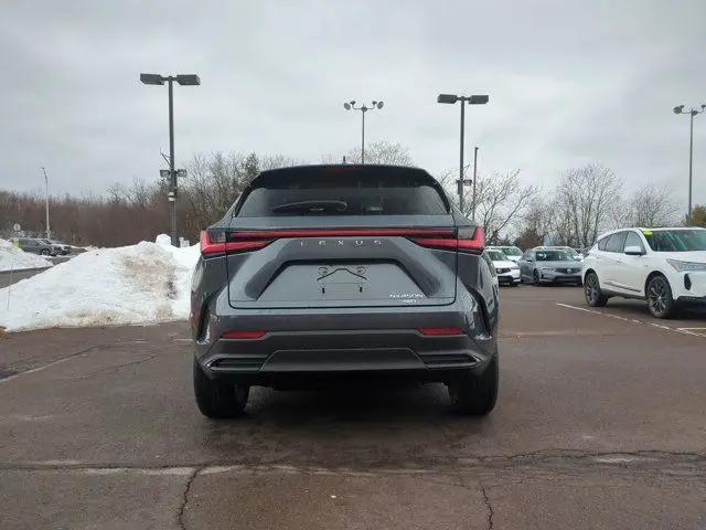 2026 Lexus NX Luxury