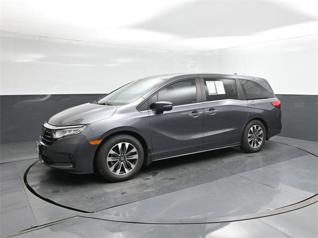 2023 Honda Odyssey EX-L for sale in Houston, TX