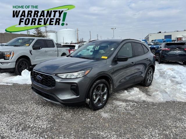 2025 Ford Escape ST-Line for sale in Saint Louis, MO