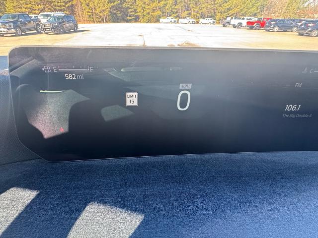 2025 Ford Expedition Active MAX