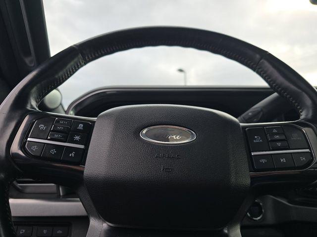 2024 Ford F-250 Platinum