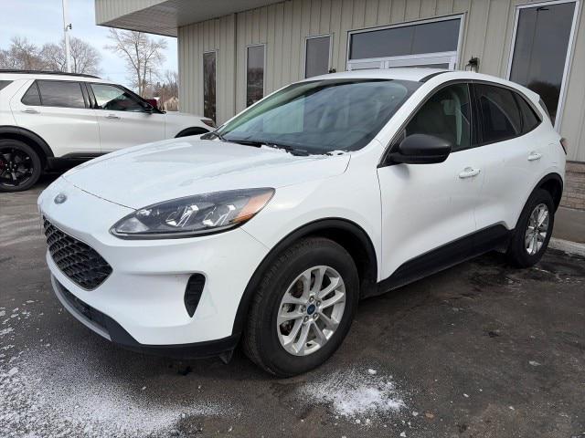 2022 Ford Escape SE for sale in Sauk Centre, MN