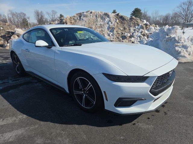 2025 Ford Mustang EcoBoost Premium Fastback for sale in Plainfield, IN