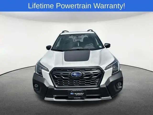 2025 Subaru Forester Wilderness