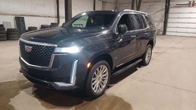 2023 Cadillac Escalade 4WD Premium Luxury for sale near Chillicothe, OH