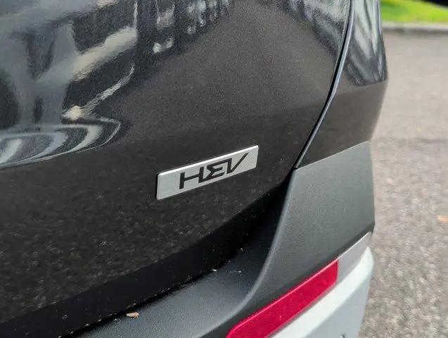 2026 Kia Carnival MPV LXS
