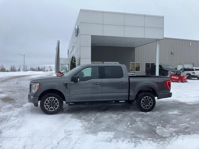 2023 Ford F-150 XLT for sale in Manistique, MI