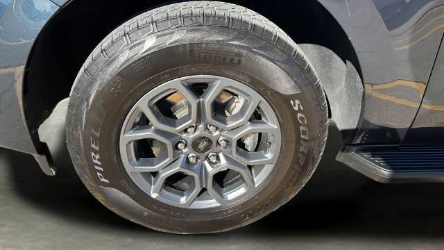 2025 Ford Expedition Active MAX