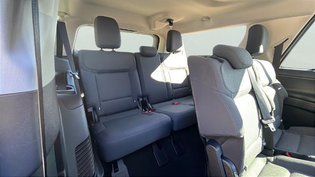 2025 Ford Expedition Active MAX