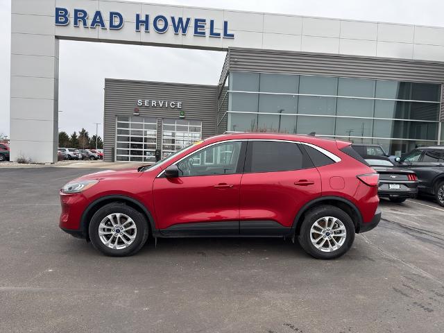 2022 Ford Escape SE for sale in Kokomo, IN