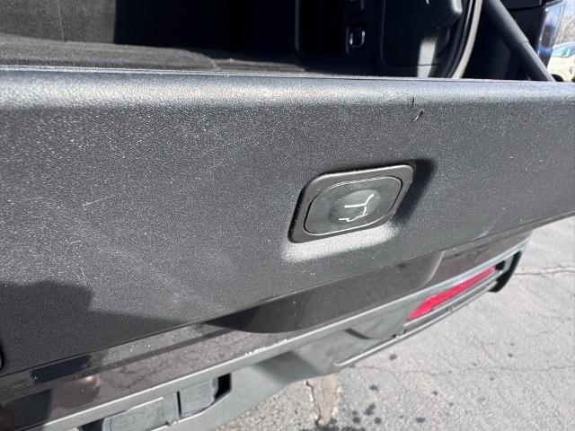 2025 Ford Expedition Active MAX