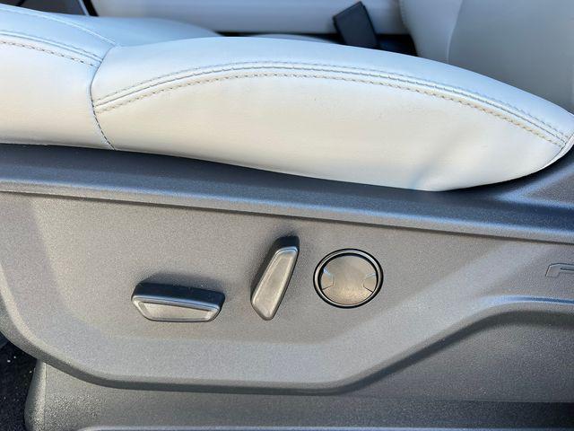 2026 Ford Expedition Max Active MAX