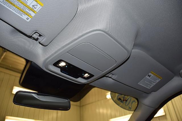 2025 Ford Expedition Active MAX