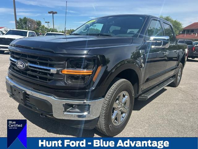 2024 Ford F-150 XLT for sale in Franklin, KY