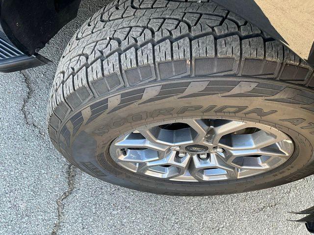 2025 Ford Expedition Active MAX