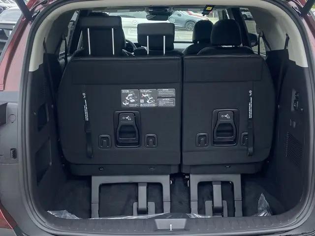 2026 Kia Carnival MPV SX