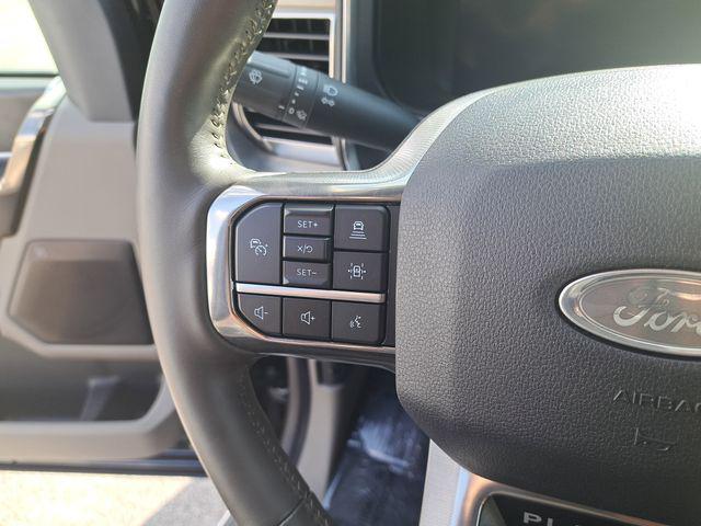 2025 Ford F-450 Platinum