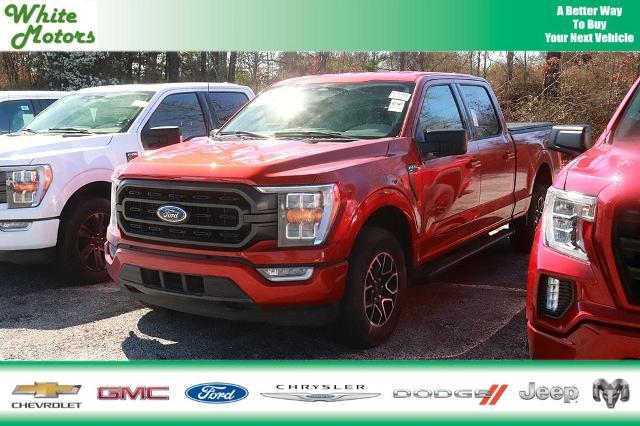 2023 Ford F-150 XLT for sale in Roanoke Rapids, NC