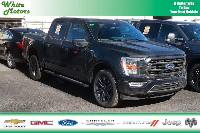 2023 Ford F-150 XLT for sale in Roanoke Rapids, NC