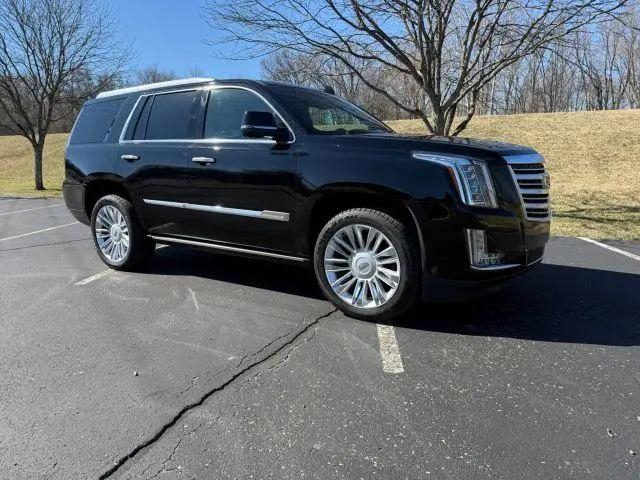 2015 Cadillac Escalade Platinum for sale in Louisville, KY
