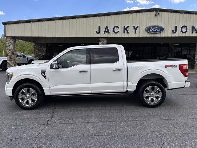 2023 Ford F-150 Platinum for sale in Hayesville, NC