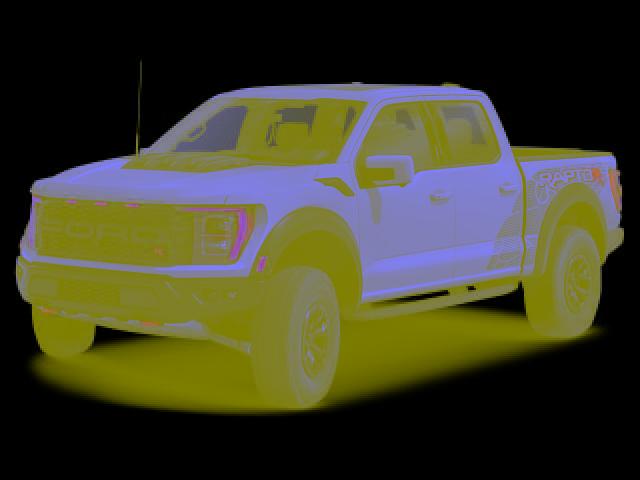 2023 Ford F-150 Raptor for sale in Lehighton, PA
