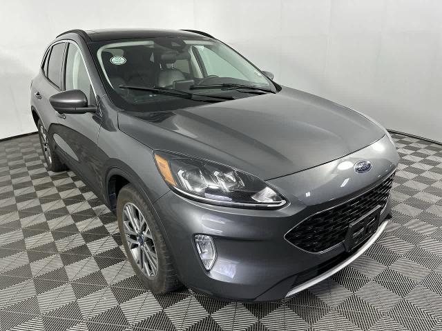 2022 Ford Escape SEL Hybrid for sale in Shelbyville, IN