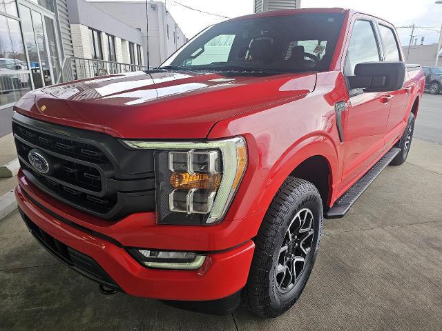 2023 Ford F-150 XLT for sale in Marion, OH