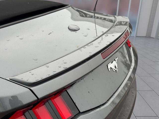 2025 Ford Mustang EcoBoost Convertible