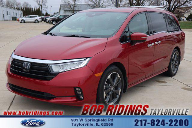 2024 Honda Odyssey Elite for sale in Taylorville, IL