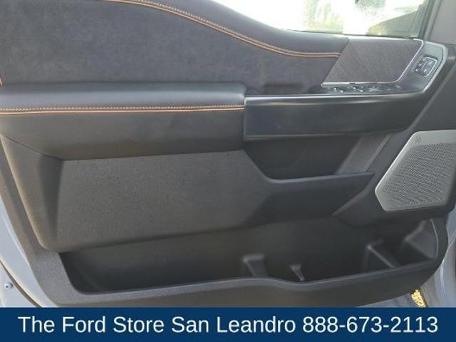 2024 Ford F-250 Platinum