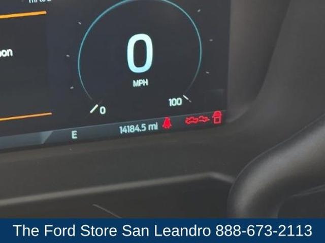 2024 Ford F-250 Platinum