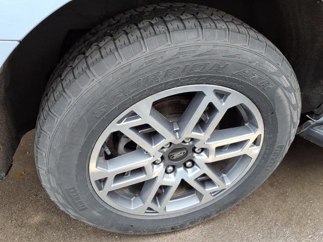 2025 Ford Expedition Active MAX