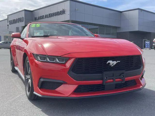 2025 Ford Mustang EcoBoost Premium Convertible for sale in Muncy, PA