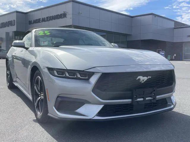 2025 Ford Mustang EcoBoost Premium Convertible for sale in Muncy, PA